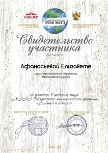 свидетельства участникам-494