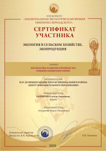Сертификат участника НЭП_3(16)