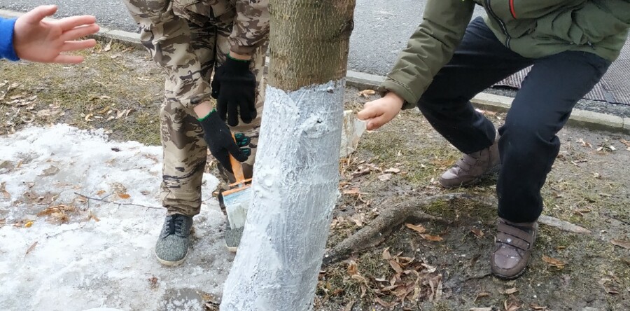 Весенняя неделя добра