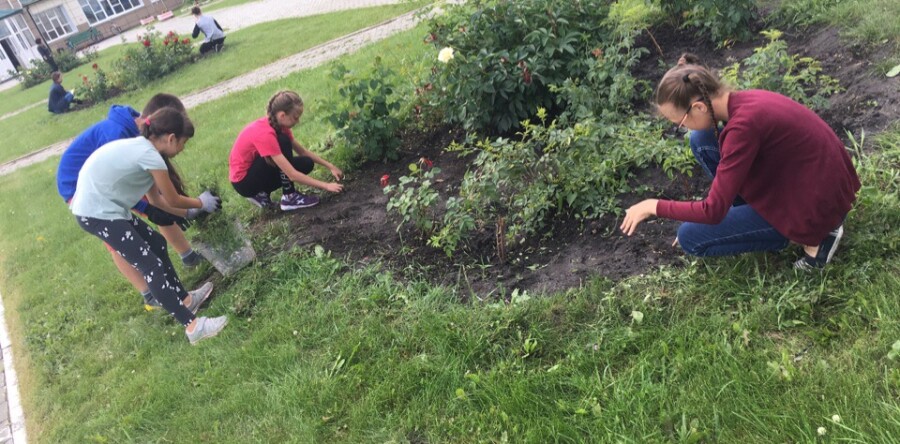 Чистое село