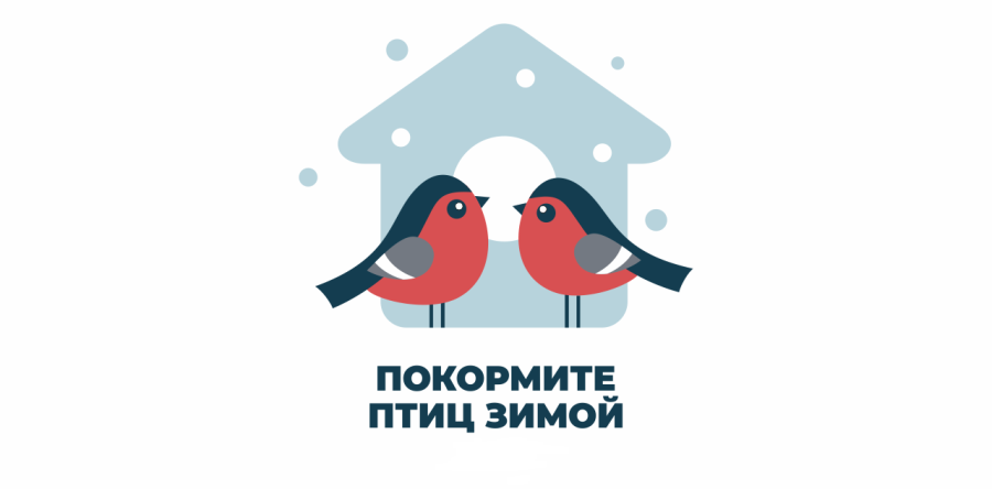 Покормите птиц зимой!