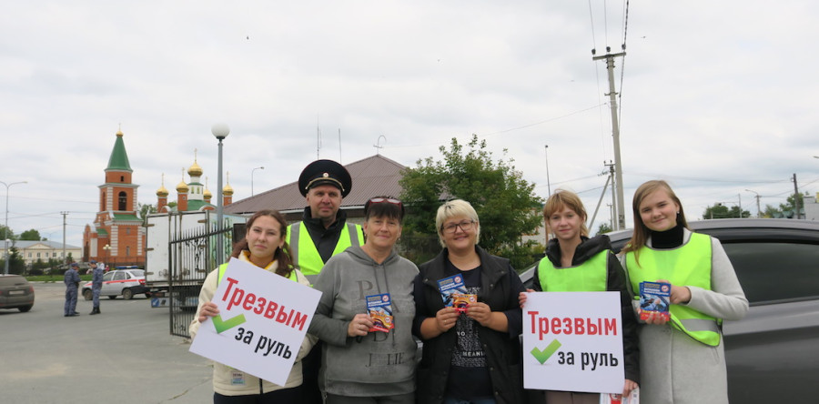 Трезвый водитель