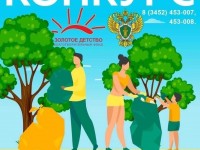 Чистый лес – чистая совесть