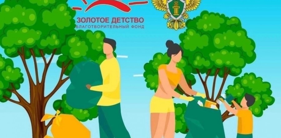 Чистый лес – чистая совесть